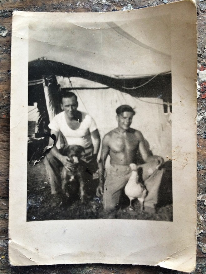 George, at the front with his guns out and a goose in North Africa circa 1943. I'm not sure how long the goose lasted.