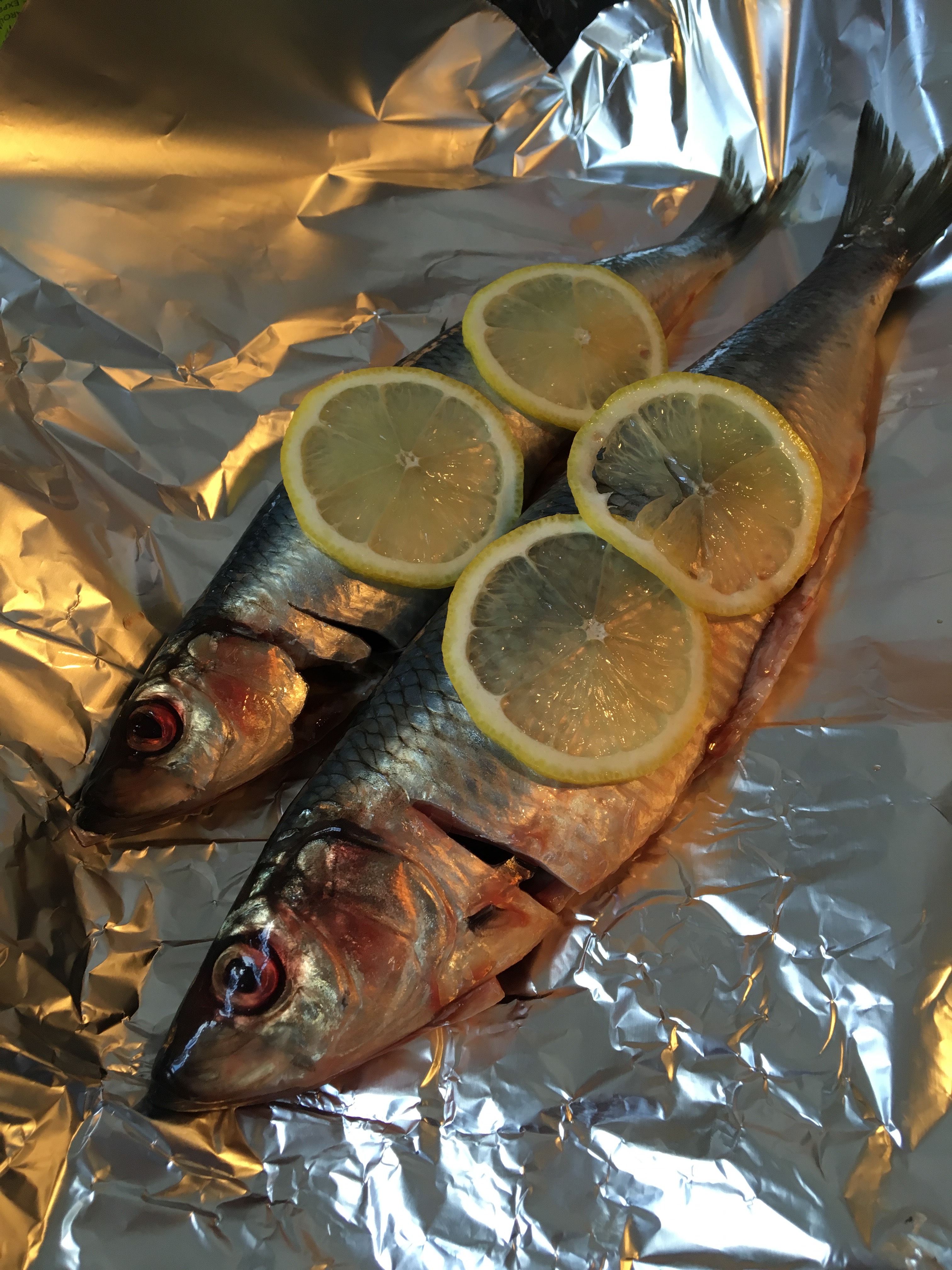 herring_prep