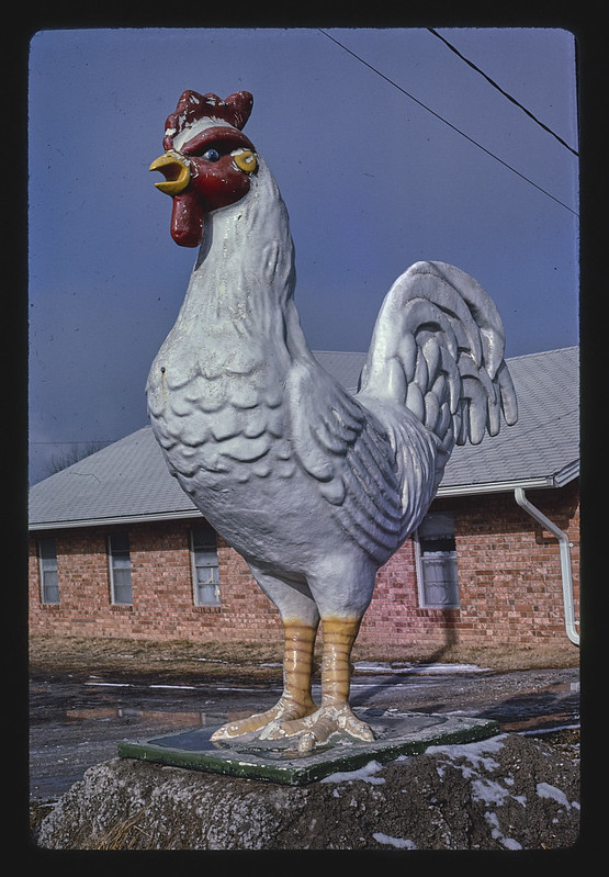 Chicken Recipe Relay