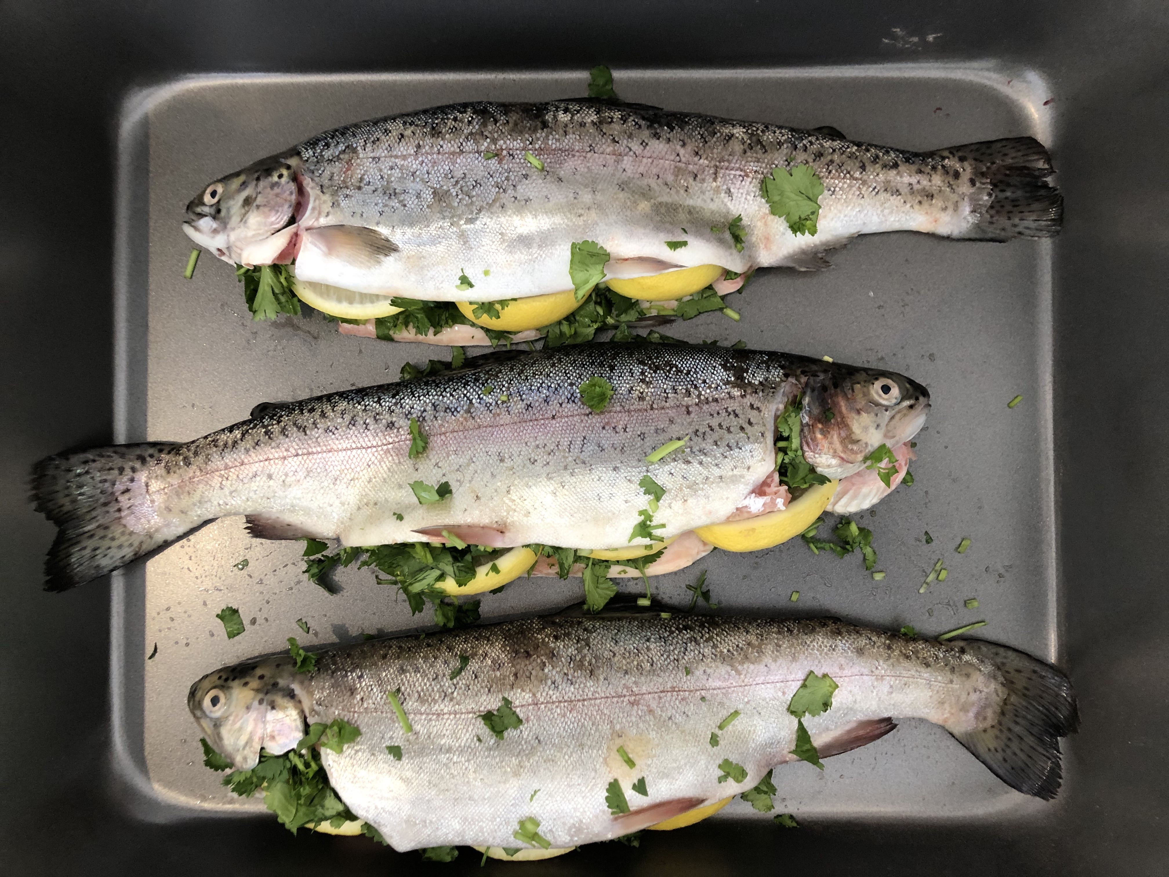 Prepared Trout